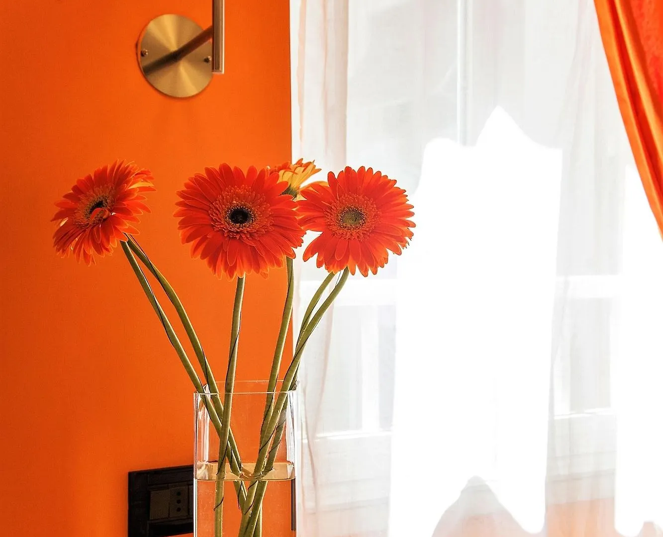 Hotel Tuscolana Rome 3*,  Italy